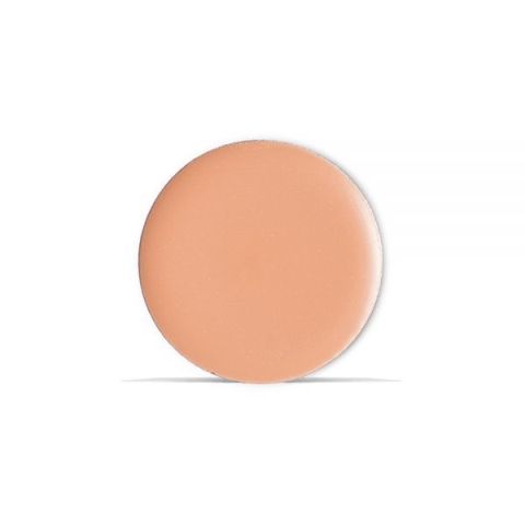 provg concealer